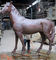 Đồng thực tế Động vật lớn Tác phẩm điêu khắc Kích thước cuộc sống màu đỏ Tác phẩm điêu khắc ngựa kim loại