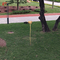 Nghệ thuật công cộng Hoa sen Lá cây ngoài trời Tượng điêu khắc Cánh hoa Đúc đồng Nelumbo Nucifera Gaertn Tượng kim loại