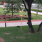 Nghệ thuật công cộng Hoa sen Lá cây ngoài trời Tượng điêu khắc Cánh hoa Đúc đồng Nelumbo Nucifera Gaertn Tượng kim loại